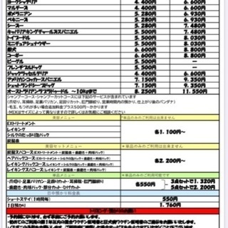 千葉市中央区でわんちゃんのトリミングサロン★初回20%OFF‼︎ - 千葉市