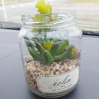 【お取引完了】キシマ　観葉植物 フェイクグリーン エクリア ガラ...