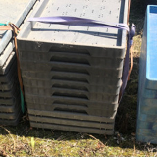 (全てお取引完了しました)苗箱　無料で差し上げます　伊勢市　約750枚　三重県　育苗箱　農業　お米作り　田植えの画像