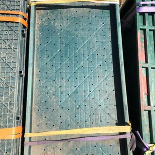 (全てお取引完了しました)苗箱　無料で差し上げます　伊勢市　約750枚　三重県　育苗箱　農業　お米作り　田植えの画像