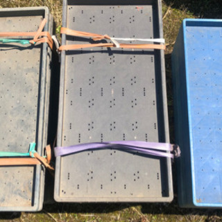 (全てお取引完了しました)苗箱　無料で差し上げます　伊勢市　約750枚　三重県　育苗箱　農業　お米作り　田植えの画像