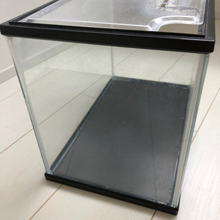 🐠水槽🐠 ⭐️他商品も只今大幅値下げ出品中‼️⭐️是非ご覧下さいませ🙏⭐️の画像