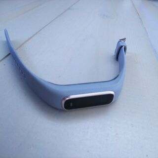 再投稿  GARMIN VIVOSMART4