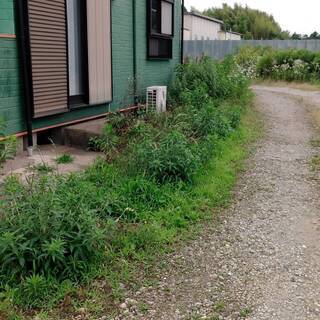 アパート周りの草刈り・剪定をお願いします。の画像