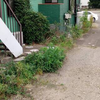 アパート周りの草刈り・剪定をお願いします。の画像