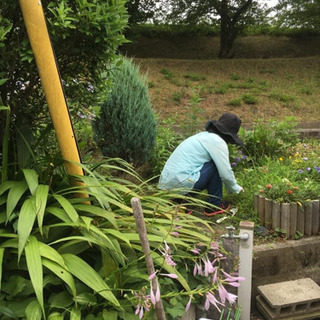 【7/4（日）※１名限定】草刈り、袋詰めをする簡単なお仕事です。の画像