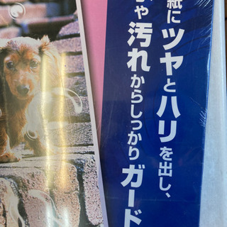 ラミネーターフィルム☆4905009834204アイリスオーヤマ100枚A4の画像