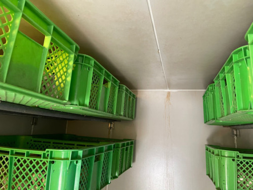 乾燥ニンニク　黒ニンニク