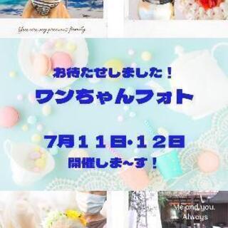 犬好きさん集まれ！