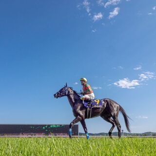 ☆★競馬仲間(女性のみ)募集☆★