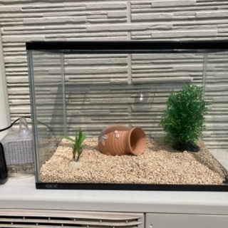 水槽