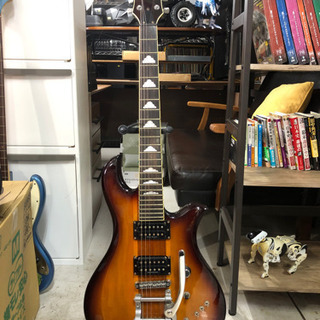 ♦️値下げしました♦️🌹🎼B.C.RICH CUITAR 🎼🌹エ...