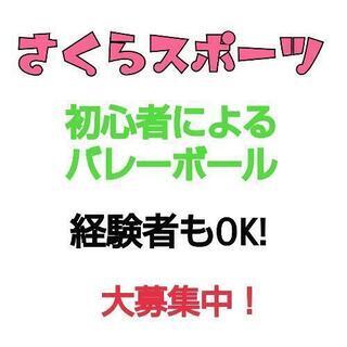 バレーボールやりましょう！