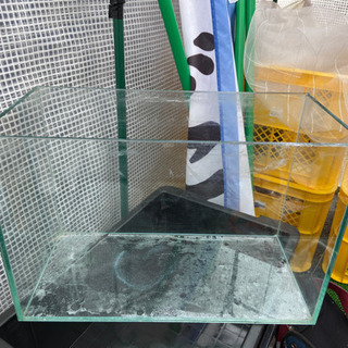 水槽、流木の画像