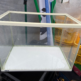 水槽、流木の画像