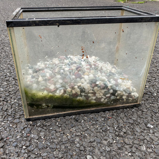 水槽　砂利付き