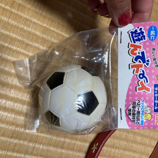 ペットグッズの画像