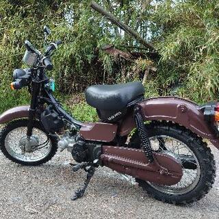 バーディー50