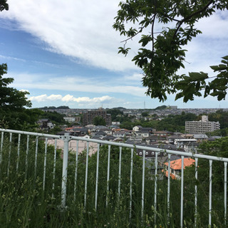 【7/3お昼から！】仙台街歩き