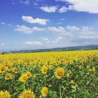 自然の力 体験会 in 長崎 