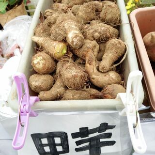 白岡市での無人販売 - 地元のお店