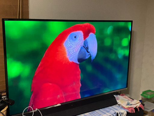美品　TOSHIBA 55インチ　テレビ