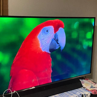 美品　TOSHIBA 55インチ　テレビ