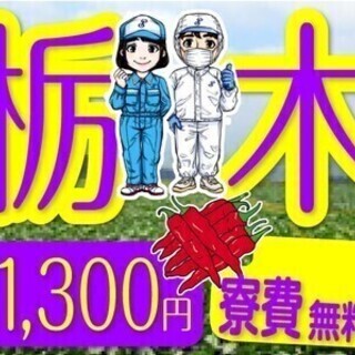 【日払い可】＼寮費無料＆入社祝い金10万円支給／未経験OK◎勤務...