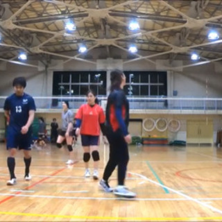 ✴︎2025新設チーム！男女混合バレーです、LINEで受付簡単💫🏐混合✴︎社会人メンバー募集🏐男女混合バレーボール🌱【応募番号1-2】 − 東京都