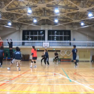 ✴︎2025新設チーム！男女混合バレーです、LINEで受付簡単💫🏐混合✴︎社会人メンバー募集🏐男女混合バレーボール🌱【応募番号1-2】 - スポーツ