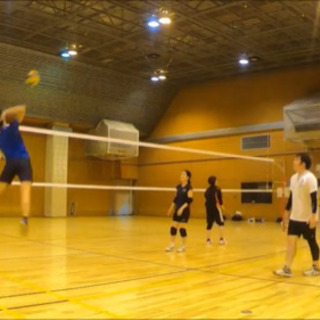 ✴︎2025新設チーム！男女混合バレーです、LINEで受付簡単💫🏐混合✴︎社会人メンバー募集🏐男女混合バレーボール🌱【応募番号1-2】 - 港区