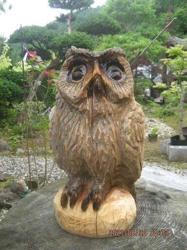 木彫品　ふくろう　TOR071430