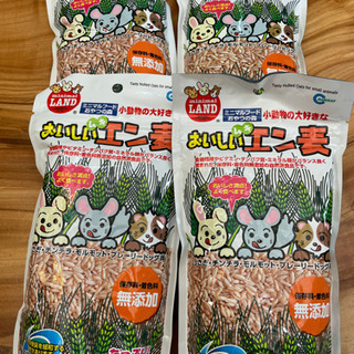 【小動物用】エン麦