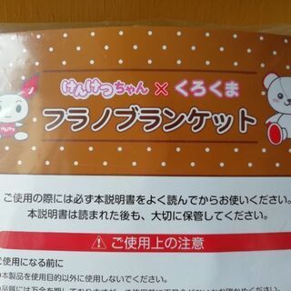 【未開封】フラノブランケット その2