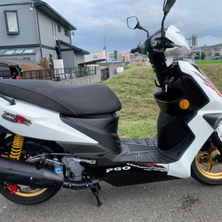 大人気‼️爆速スクーターPGOティグラ150‼️上物美車‼️