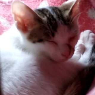 模様がかわいい二人。