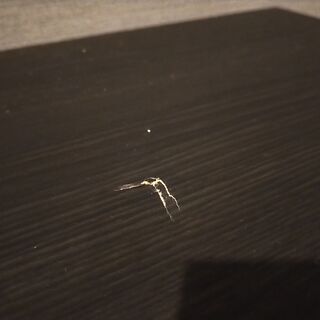 テレビボード 145cm ウッドテイスト 木目の画像