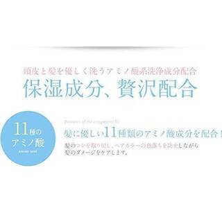 2本セット‼️お買い得‼️入手困難‼️【美容院専用品 LOVESTルミエール シャンプー & コンディショナー】の画像