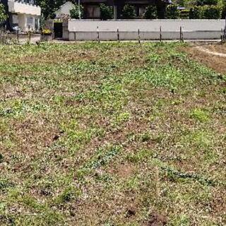 牛久市 500㎡野菜作りに