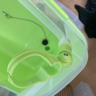 ペット用お風呂差し上げますの画像