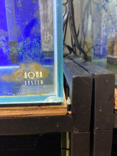 熱帯魚、水槽、金魚、グッピー、ディスカス。