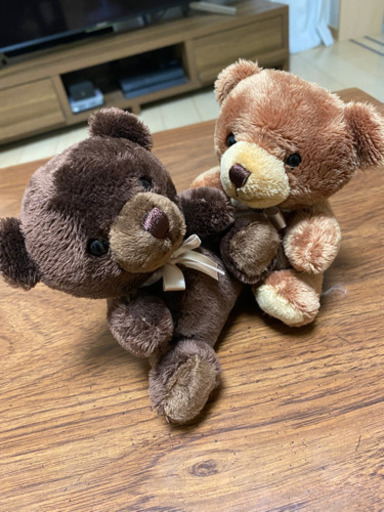 ２匹の仲良しくまちゃん♡