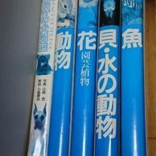 図鑑５冊【犬・動物・花・貝など・魚】