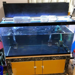 [アクアリウム]120㎝水槽 120×60×60  引き取り限定