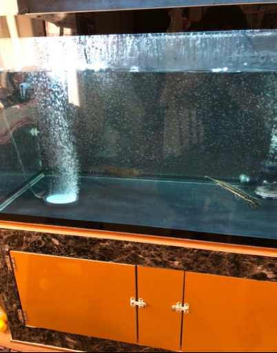 [アクアリウム]120㎝水槽 120×60×60  引き取り限定