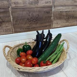 夏野菜