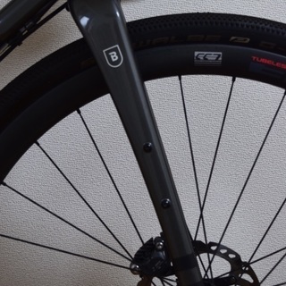 BREEZER INVERSION TEAM 48 フレームセットの画像