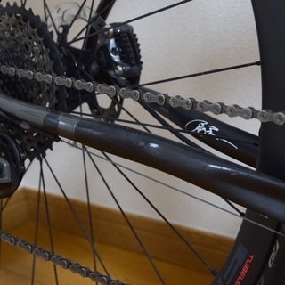 BREEZER INVERSION TEAM 48 フレームセットの画像