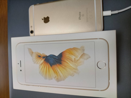 simフリーiPhone6s ワイモバイル