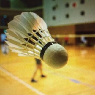 【練習日掲載🏸】バドミントン　メンバー募集